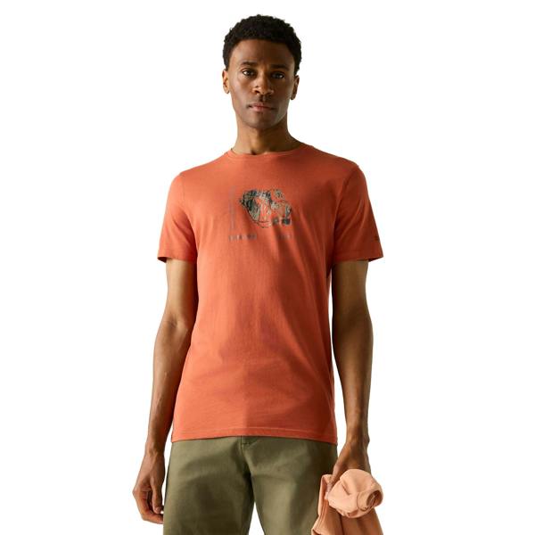 Regatta Mens Breezed Mountain Flow T-Shirt - Brick - 