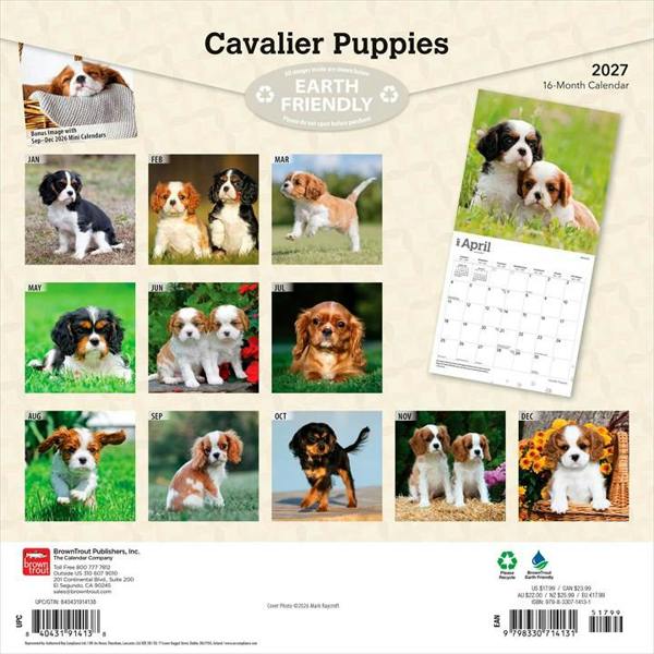 Cavalier King Charles Spaniel Puppies Calendar 2027, Wall Calendars, Month To View, Dogs, Gift