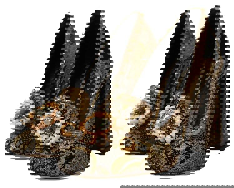 154409813.jpg