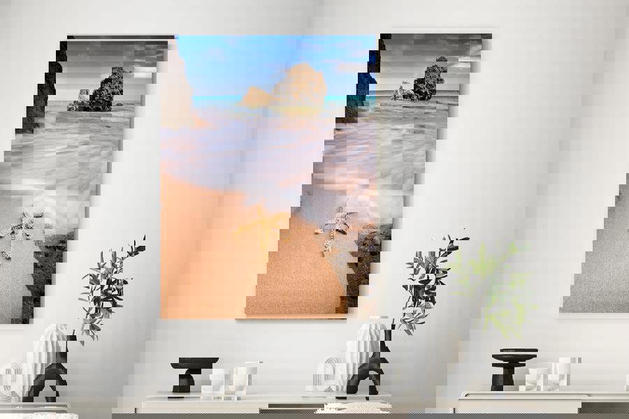 Starfish on Portuguese beach