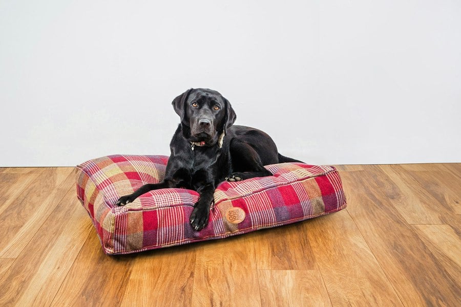 Snug and Cosy Pets Highland Mulberry Cushion Lounger