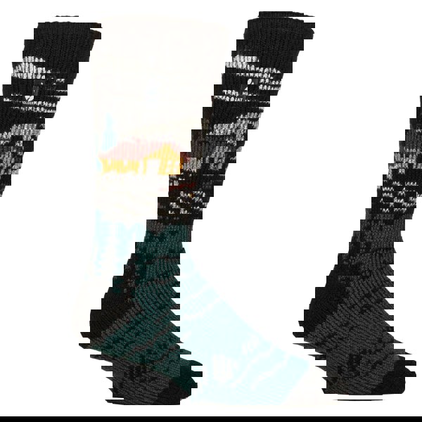 t4option1_3