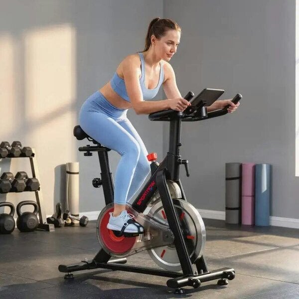 Exercise Bike for Home Gym with Smart APP, Magnetic Resistance, Adjustable Seat & Handlebars, LCD Display, Wheels - Silver