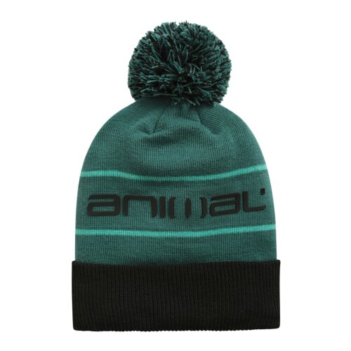 Animal Dylan Pom Pom Recycled Skiing Beanie - Green