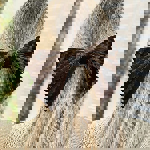 Brown Hair Bow Velvet Bow Hair Clip Hair Down