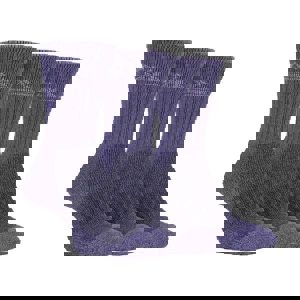 t4option1_2