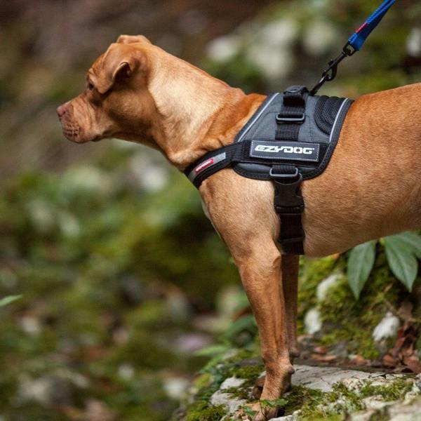 EzyDog Convert Harness in Red
