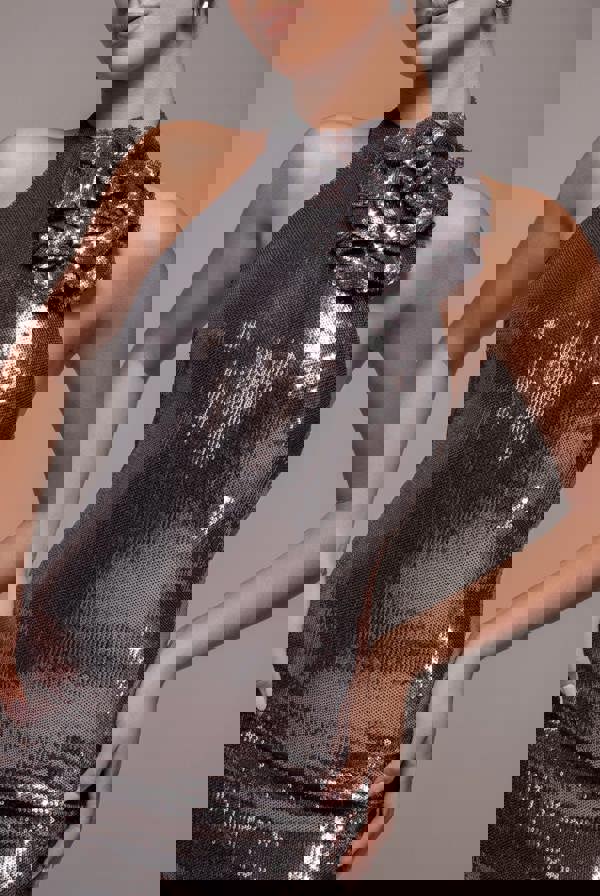 Liquid Sequin Halterneck Maxi With Corsage - Silver DR4104