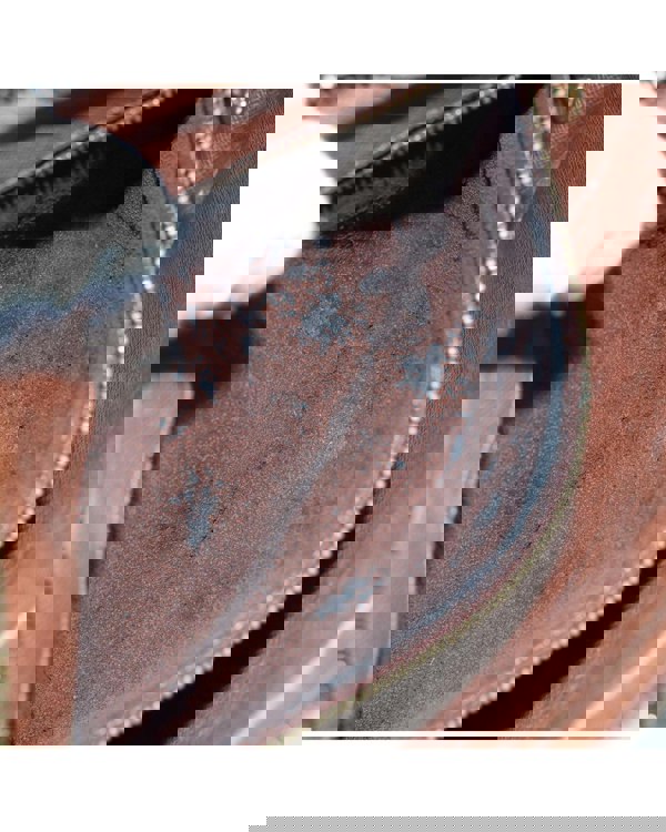 186342833.jpg