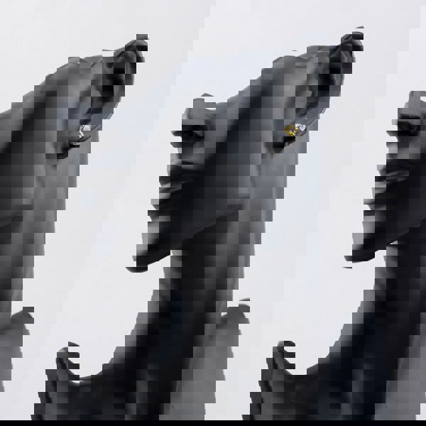 Starbright Sterling Silver Yellow Cubic Zirconia Halo Cluster Stud Earrings P8210e Yellow