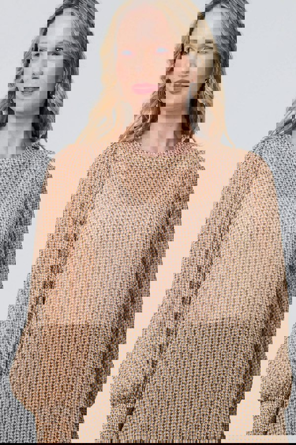 Beige | Mesh Fishnet Long Puff Sleeve Top
