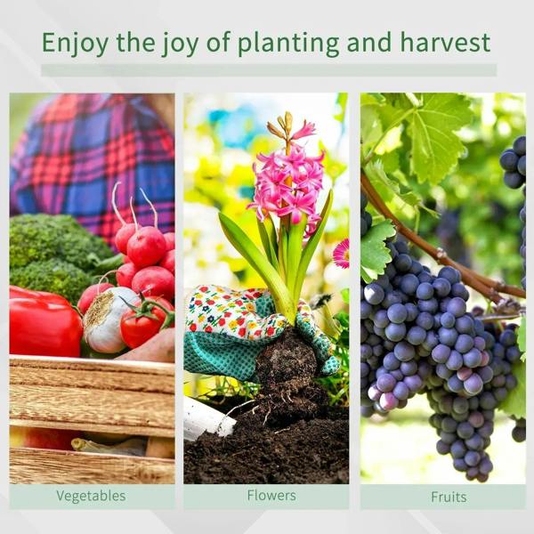 Greenhouse growing assortment collage with vegetables, flowers, and fruit