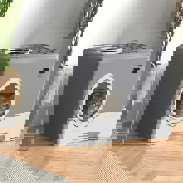 D31-084V00GY