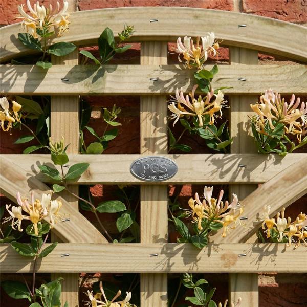 4 pack trellis triple dome privacy square [w.6ft x h.2ft] 1