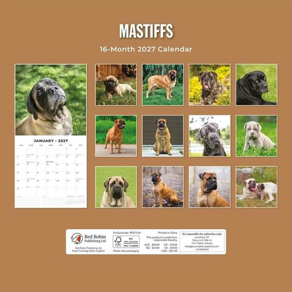 Mastiffs Calendar 2027, Wall Calendars, Month To View, Dogs, Gift
