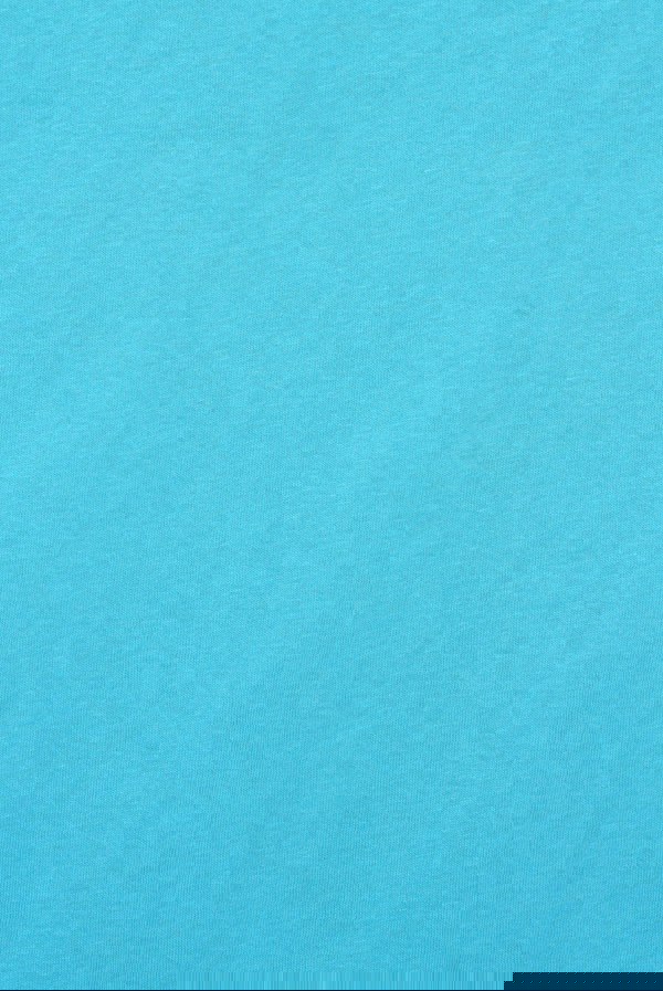 Esprit Ladies T-Shirt Pattern 14 Blue