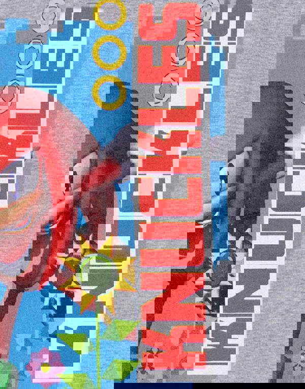 Sonic the Hedgehog Unisex Kids Grey Knuckles Short Sleeved T-Shirt