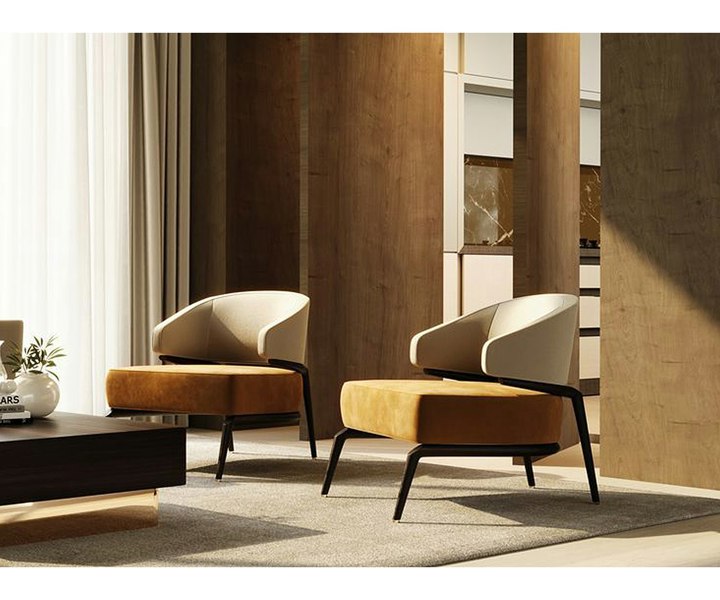 Statement piece Haines luxury armchair with plush fabric and contemporary design for upscale interiors.