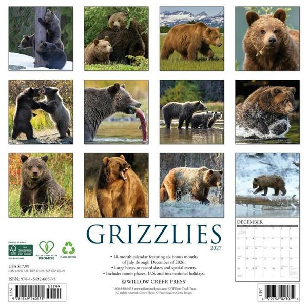 Grizzlies Calendar 2027, Wall Calendars, Month To View, Animals, Gift