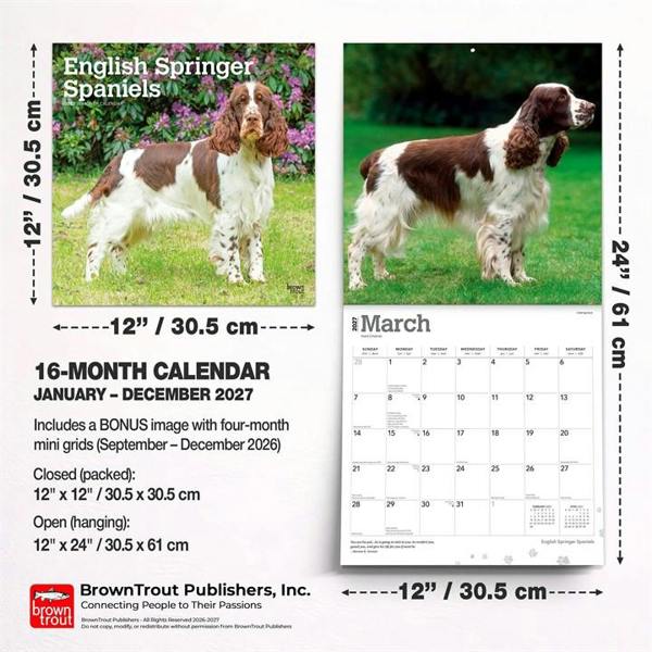 English Springer Spaniels Calendar 2027, Wall Calendars, Month To View, Dogs, Gift