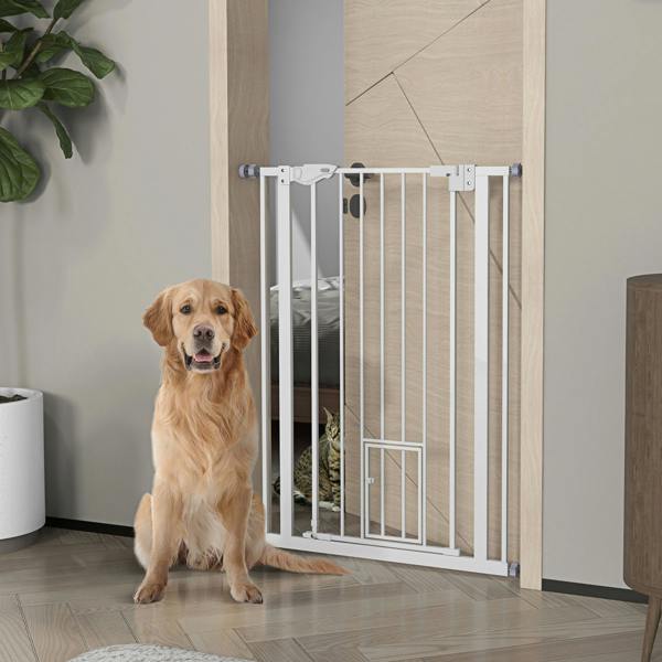 Pet Gate