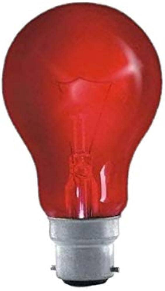 Eveready 10 x 60W BC B22 GLS Fireglow Light Bulbs