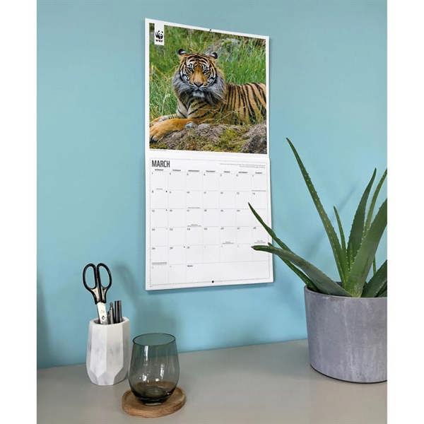 WWF, Tigers Calendar 2027, Wall Calendars, Month To View, Animals, Gift
