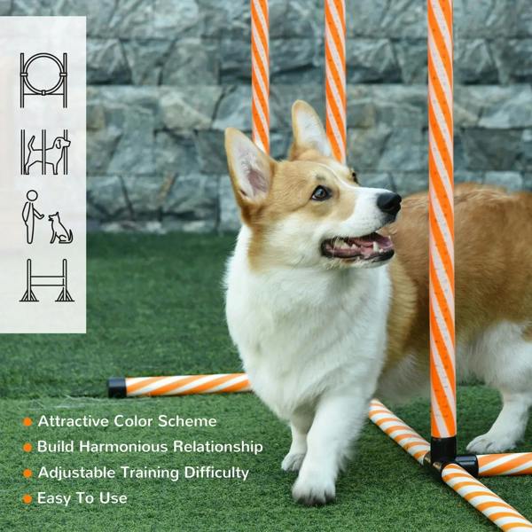 Orange-and-white striped weave poles with dog beside obstacle and accessory icons