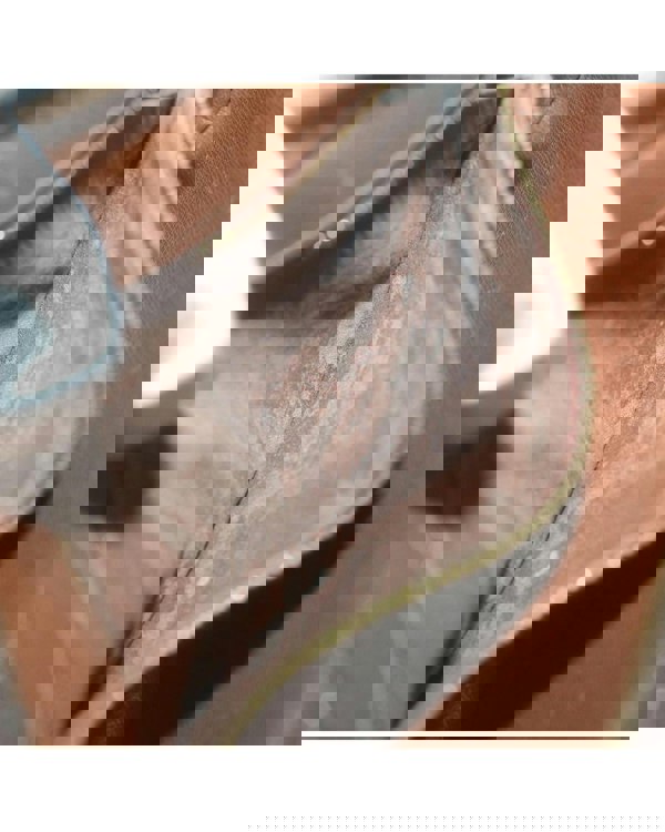 165171887.jpg