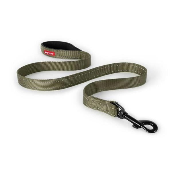 EzyDog Classic Dog Lead in Green