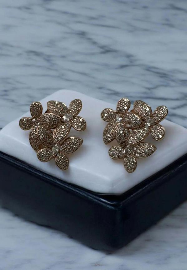 Still life of the earrings.