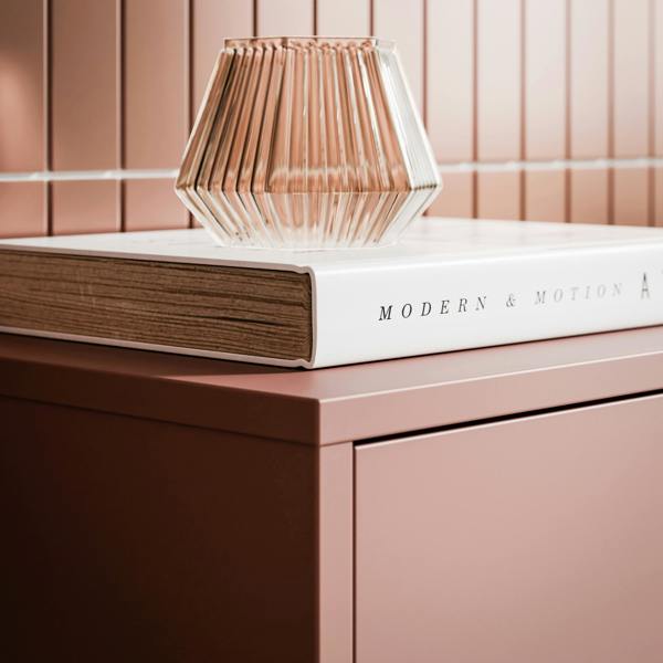 Furniture To Go Alice Springs Shoe Cabinet with 2 Doors Push-to-Open in Terracotta