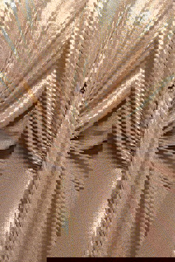 Cowl Plunge Draped Foil Maxi Dress - Gold DR4925