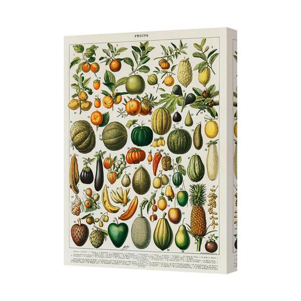 Benjamin Tate Design Contemporary Fruit Chart Canvas Art Print With Deep Wooden Frame