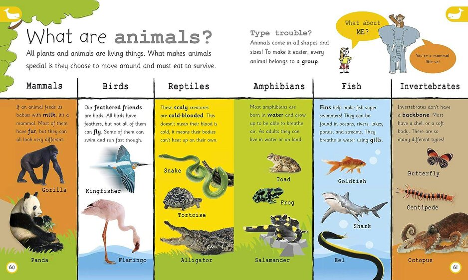 My Encyclopedia Of Very Important Things - For Little Learners Who Want To Know Everything