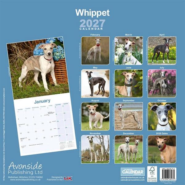 Whippet Calendar 2027, Wall Calendars, Month To View, Dogs, Gift