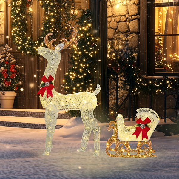 Lighted Christmas Decoration
