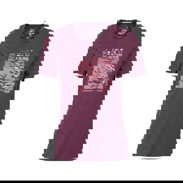 Mountain Warehouse Womens/Ladies Winding Trek Printed T-Shirt - Burgundy