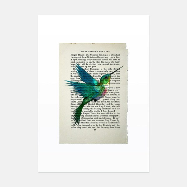 Hands & Hearts Hummingbird vintage book page art print