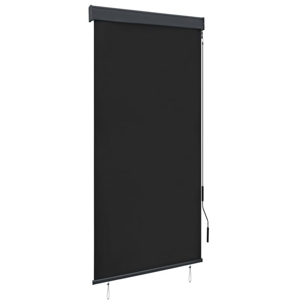 Berkfield Outdoor Roller Blind 100x250 cm Anthracite