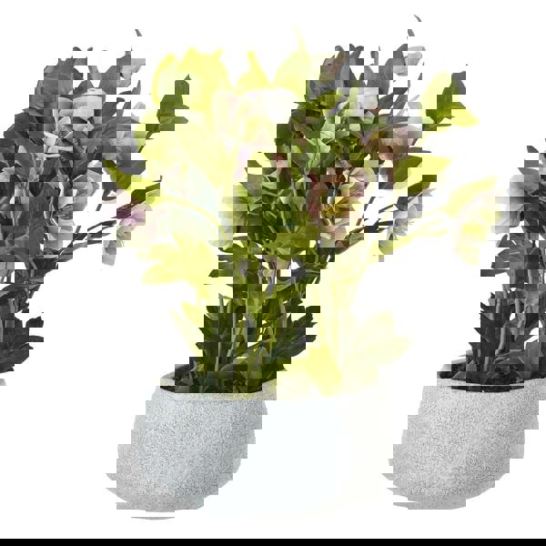 Hill Interiors Hellebore Artificial Potted Plant - Pink - 