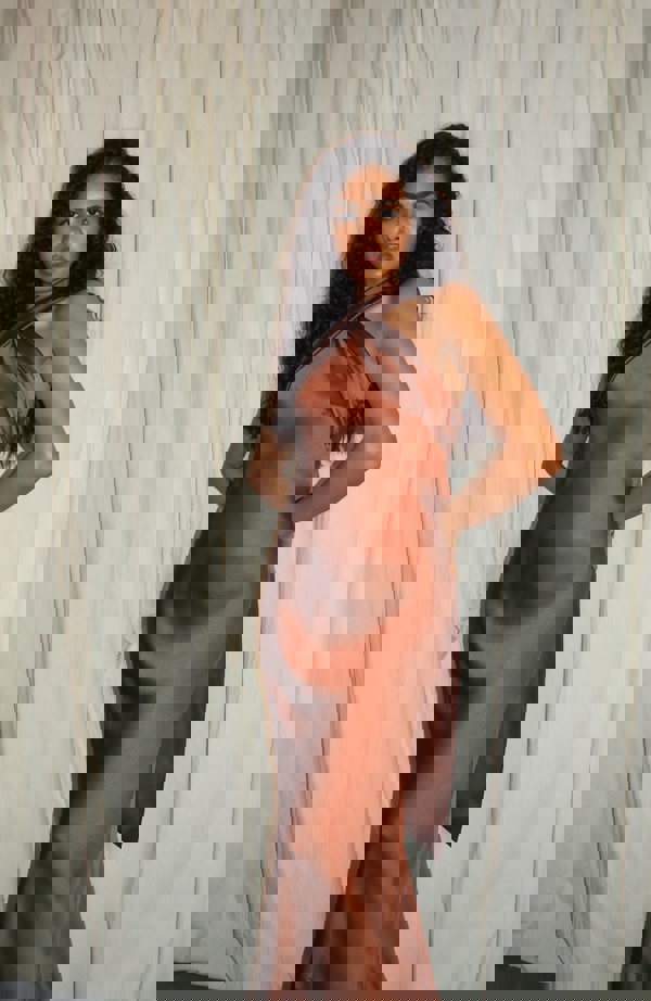 Rewritten London Roma Dress in Cinnamon Satin