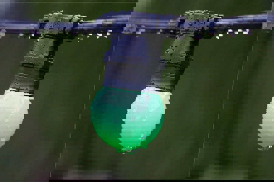 Eagle Connect G45 Bulb, E27 Base, Plastic Cover Green