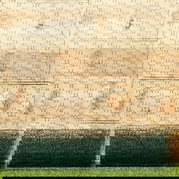 Samuel Alexander 5m x 0.6m x 25mm Green PVC Coated Galvanised Chicken Garden Wire Netting / Fencing