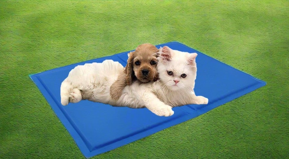 Generise Pet Cooling Gel Mat - 40cm x 30cm- Blue