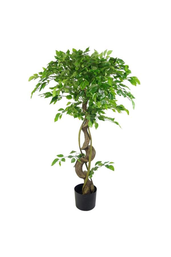 Dyzi 120cm Twisted Ficus Tree in Weighted Pot