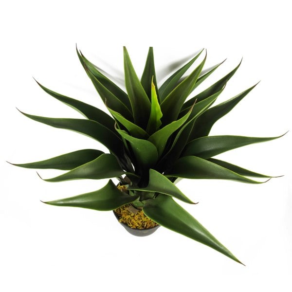 Leaf 55cm Artificial Yucca Plant