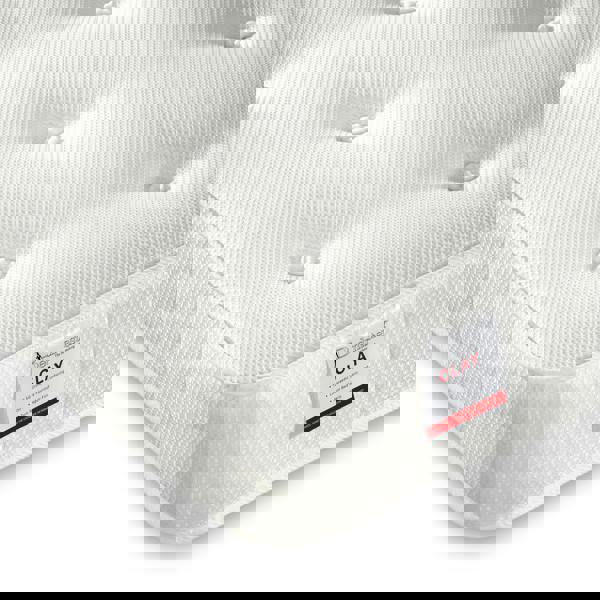 Bedmaster Clay Mattress