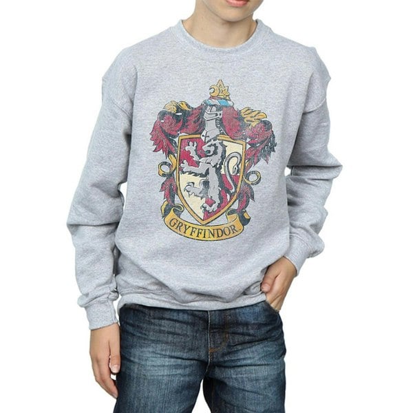 Harry Potter Boys Gryffindor Sweatshirt - Sports Grey