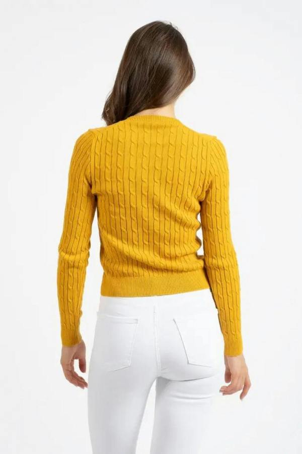 Hoxton Gal V-Neck Knit Sweater with Woven Pattern – Mustard